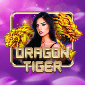 Dragon Tiger at Lucky Bingo