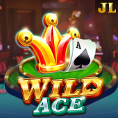 Wild Ace at Lucky Bingo